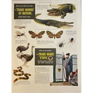 ETHYL The Trade-Mark when you buy Gas" Animals & Insects Vintage Print Ad 1949